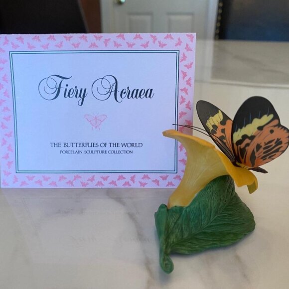 Butterflies From Around the World on their own Native Flowers - Picture 5 of 9